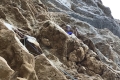 image00015
