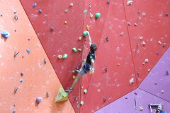 IMG_0249