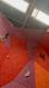 IMG-20220327-WA0001