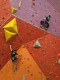 IMG_20230401_103324