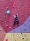 IMG_20230401_125417