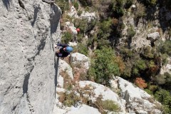 PXL_20251109_095603458.MP_exported_747