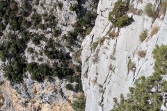 PXL_20251109_105159987.MP_exported_1052