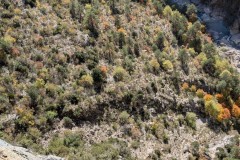 PXL_20251109_115934499.MP_exported_781