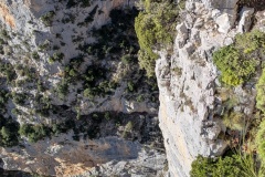 PXL_20251109_124132043