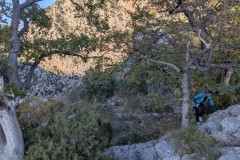 PXL_20251109_143448236.MP_exported_1392