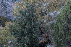 PXL_20251109_143531953.MP_exported_1324