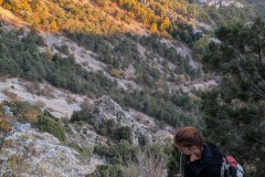 PXL_20251109_153552340.MP_exported_1154