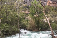 IMG_3141