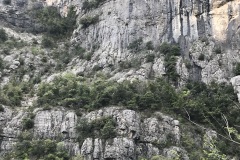 IMG_4203