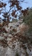 PXL_20251130_100725719