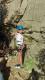 IMG_20250408_113110_940