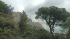 IMG_20250409_102113_833