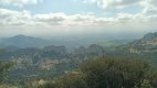 IMG_20250410_123746_163