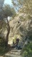 IMG_20250411_135923_528