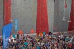 IMG_6517