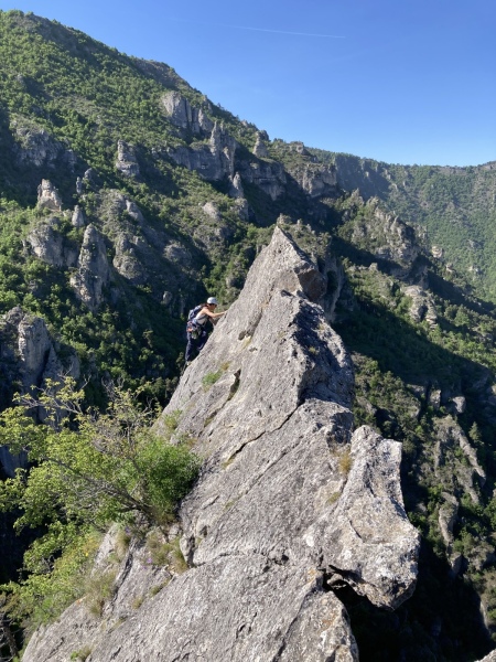 04063E29-3FAE-4428-A038-D60A93DC294C