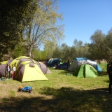 Stage (2)