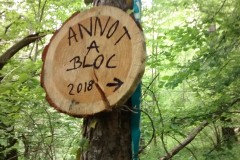 IMG_20180526_092848522