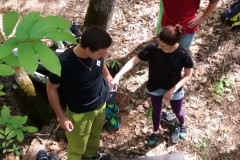 IMG_20180526_110032396