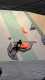 IMG-20260111-WA0002