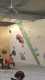 IMG-20260111-WA0003