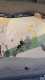IMG-20260111-WA0004