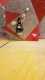 IMG-20191126-WA0002