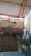 IMG-20191126-WA0006