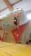 IMG-20191126-WA0022