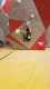 IMG-20191126-WA0028