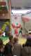 IMG-20191126-WA0029