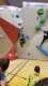 IMG-20191126-WA0032