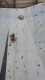 IMG-20220416-WA0002