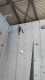 IMG-20220416-WA0003