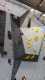 IMG-20220416-WA0015