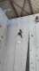 IMG-20220416-WA0017