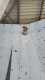 IMG-20220416-WA0024