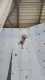 IMG-20220416-WA0025