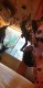 IMG-20221204-WA0012