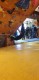 IMG-20221204-WA0013