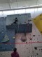 IMG_20221211_125734