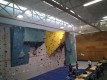 IMG_20221211_135428