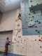 IMG-20241220-WA0012
