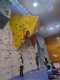 IMG-20241220-WA0013