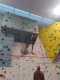 IMG-20241220-WA0014