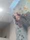 IMG-20241220-WA0017