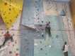 IMG-20241220-WA0019