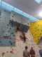 IMG-20241220-WA0021