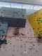 IMG-20241220-WA0032